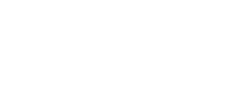 German Bundesliga Banner
